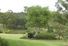 Carrington Fallsresidential-landscaping-40.jpg; ?>